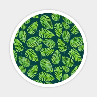 Monstera leaves, tropical watercolor pattern Magnet